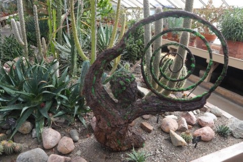 “Dancing Poet” sculpture by artist and sculptor Kim Bellavia at the Buffalo and Erie County Botanical Gardens. The new sculpture exhibit, Whispering from the Woods (Photo by John Hickey/Buffalo News)