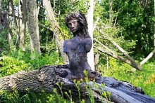 Enchanted trail - Lady of the Wood